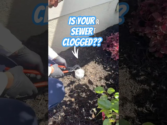 Signs You Have A Clogged Main Sewer Line - Toilet Not Flushing & Bath Tub Or Shower Backing Up