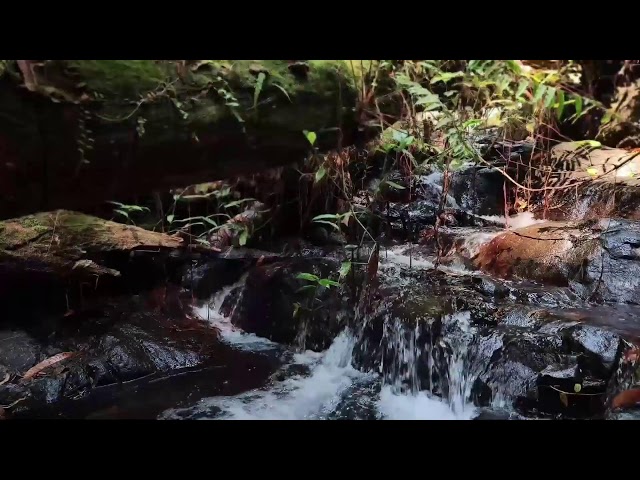 Relaxing Piano Music – Healing Vibes & Gentle River Sounds for Deep Sleep