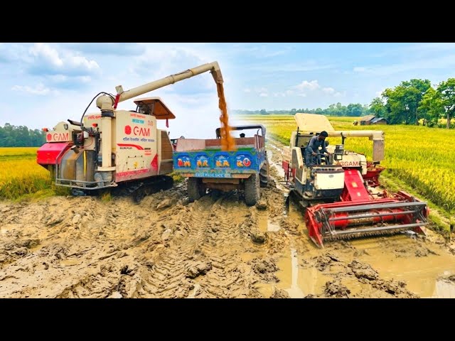 🛑 Mini Harvester Combine Machine Tractor Trolley Loading Rice 🔥 Dhan Kata Gadi 4×4 Tractor Stuck 