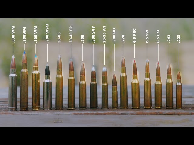How to Choose a Hunting Rifle/Cartridge: Guide to Ballistics and Ammo