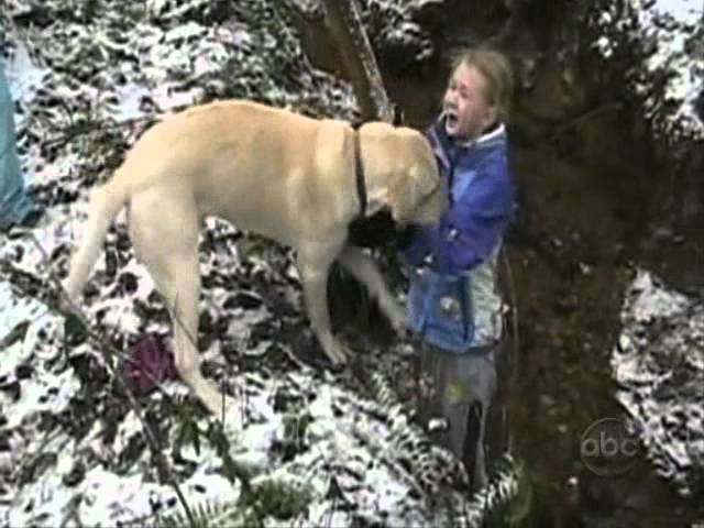 ☺ America's Funniest Home Videos Part 20 | OrangeCabinet