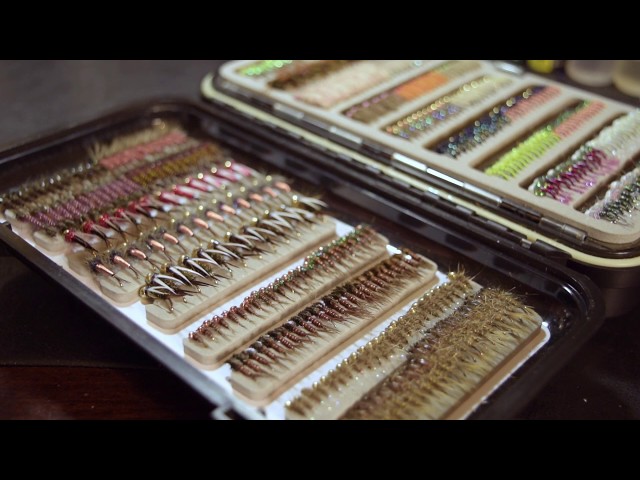 Selecting and Organizing Your Fly Boxes