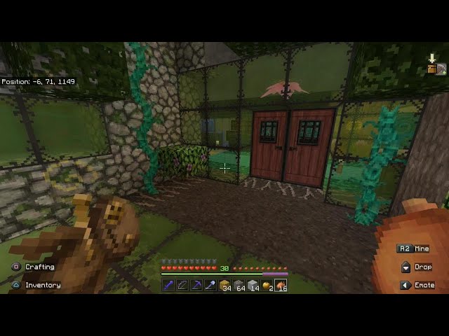 Care to explain Minecraft??
