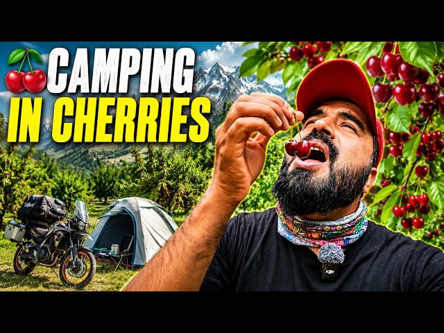 I Camped in a Cherry Garden in Hunza Valley 🍒 | Cherry Harvest, Momos & Karakoram Highway | Story 65