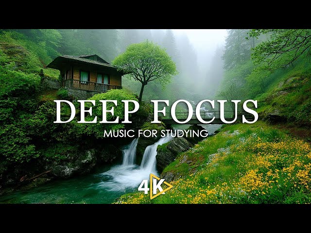 Deep Work Music for Concentration - 12 Hours of Ambient Study Music to Concentrate #12