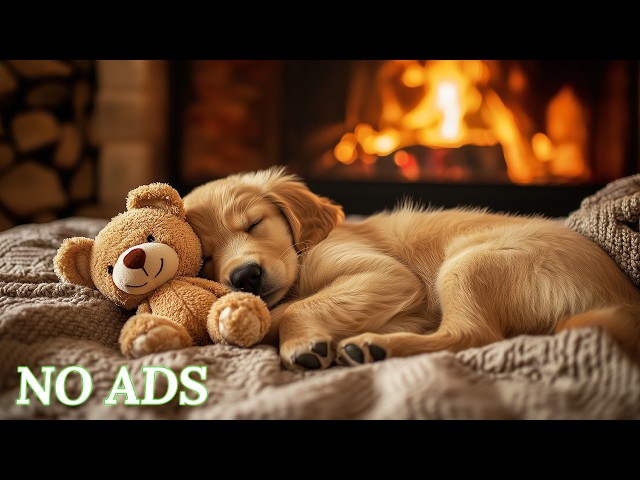24 Hours of Deep Sleep Music for Dogs 🐶🎵Anti-Separation Anxiety Relief Music🎵💖Peaceful Dog Music