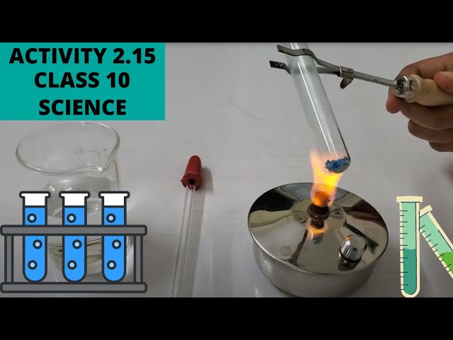 ACTIVITY 2.15 ll CLASS 10 ll SCIENCE ll CHAPTER 2 ll CBSE/NCERT ll ANKITA MAM