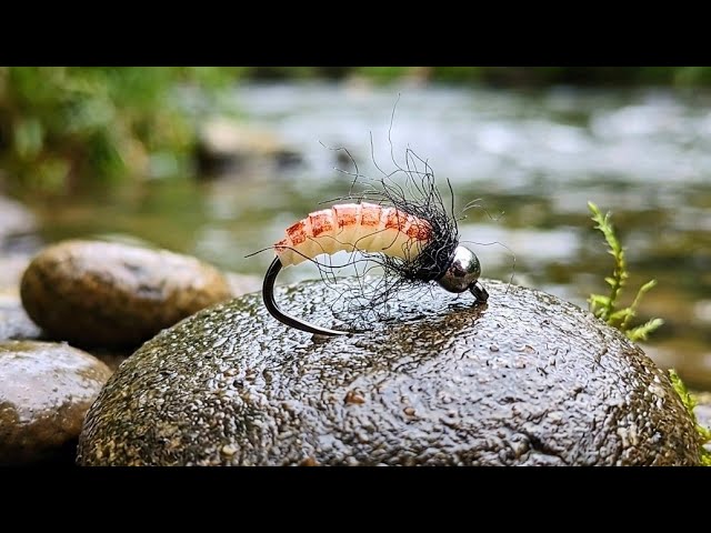How to tie Latex Caddis Pupa Nymph. Fly tying tutorial. 