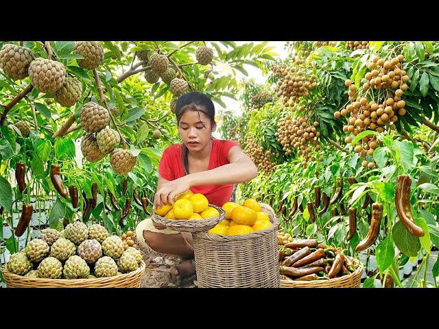 Wow  nice Natural fluids🌲 | Cooking & Eating Fresh Food in the Wilderness! Enjoy 10 more videos