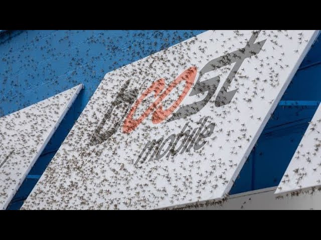Boost Mobile Native 5G Gone and Some Walk Away