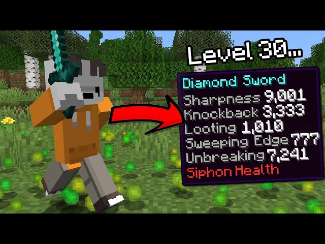 Minecraft But Levelling Up Enchants Your Inventory