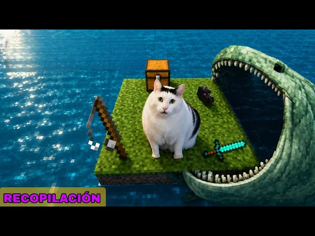 Minecraft Pero Con Gatos (Recopilación)