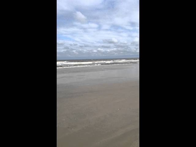 Surly Pugsley Pug Ops fatbike on the beach