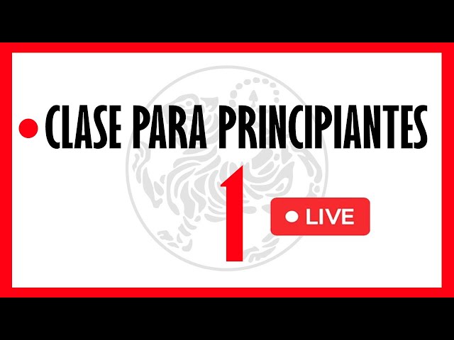 🥇Cómo APRENDER KARATE do para PRINCIPIANTES en Casa PASO a PASO  // Clase de PRIMEROS PASOS