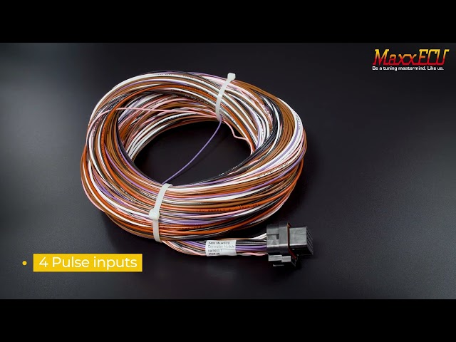 MaxxECU Expansion Module