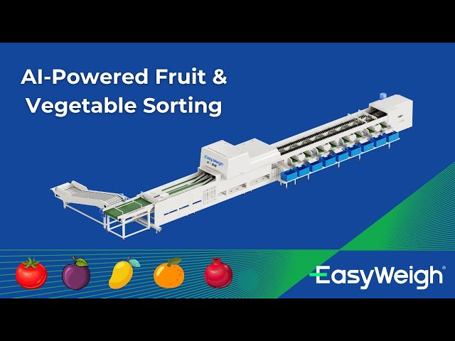 Easyweigh AI-Powered Fruit & Vegetable Sorting Machine | Smart Fruit Processing & Automation
