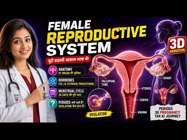 Female Reproductive System को आसान भाषा में समझें | Periods से Ovulation तक | 3D Medical Animation