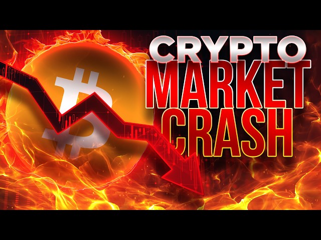 Crypto Market Crash Update📉🔥