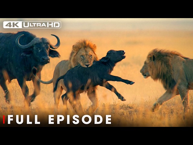 Savannah's Deadliest FULL EPISODE | Incredible 4K Nature Scenes | Wildlife Documentary