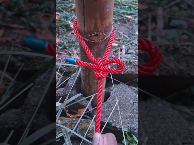 🛑Knot-tying tutorial #shorts