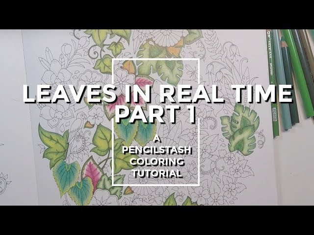 REAL-TIME Adult Coloring Tutorial - Leaves PART 1 - A PencilStash Tutorial