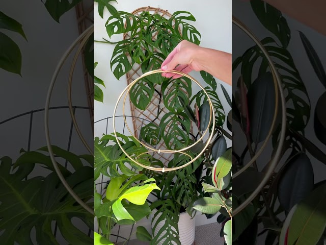 DIY plant hanger