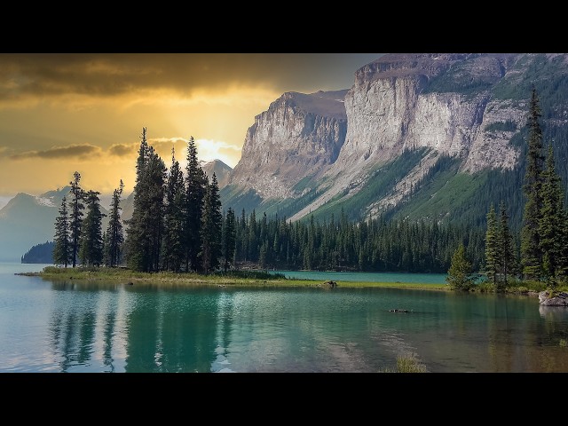 The Forest Breaths, Beautiful Relaxing Music, Peaceful Soothing Instrumental Music, by Tim Janis