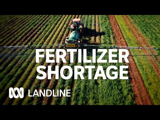 How Middle East conflict is hitting Aussie farmers | Landline | ABC iview