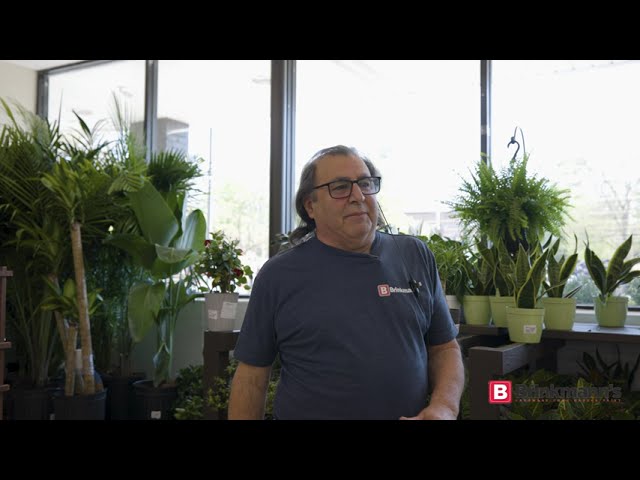 Brinkmann's Glen Cove Live Goods