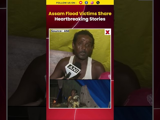 'Everything Was Gone In Seconds': Assam Flood Victims Reveal Devastating Ordeal