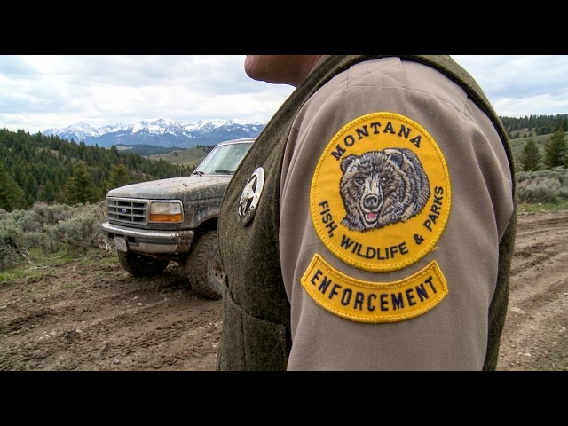 Crime in the Backcountry: Wardens Strike Back