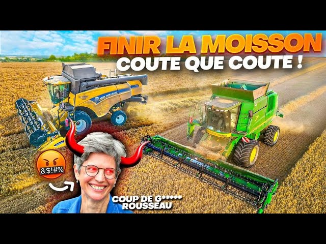 MY NEIGHBOR HELPS ME FINISH OUR HARVEST (dedication Sandrine Rousseau)