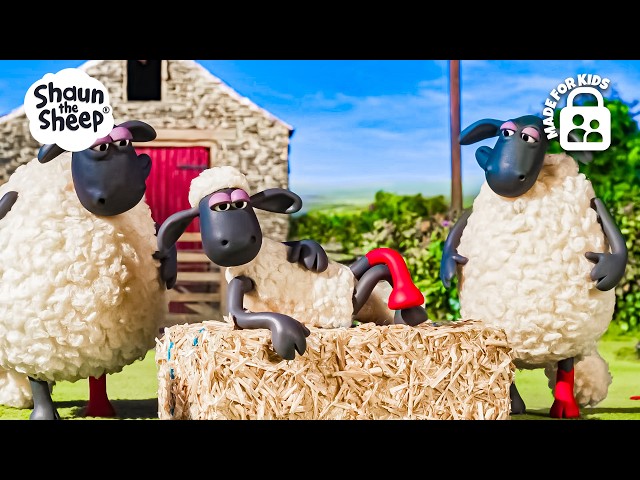 FASHIONISTA SHEEP RULE THE FARM RUNWAY 👠✨🎀 | Back to School 🚌🔔