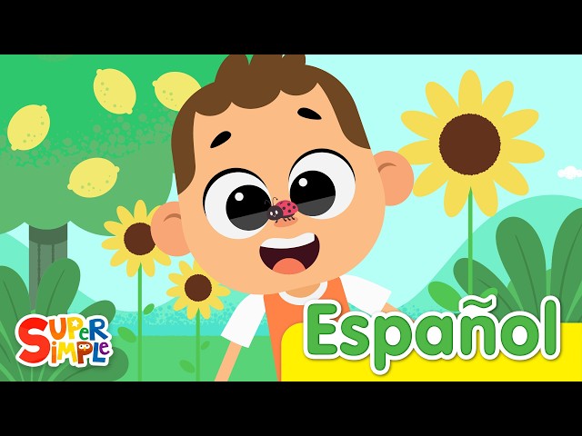 Veo Veo | Canciones Infantiles