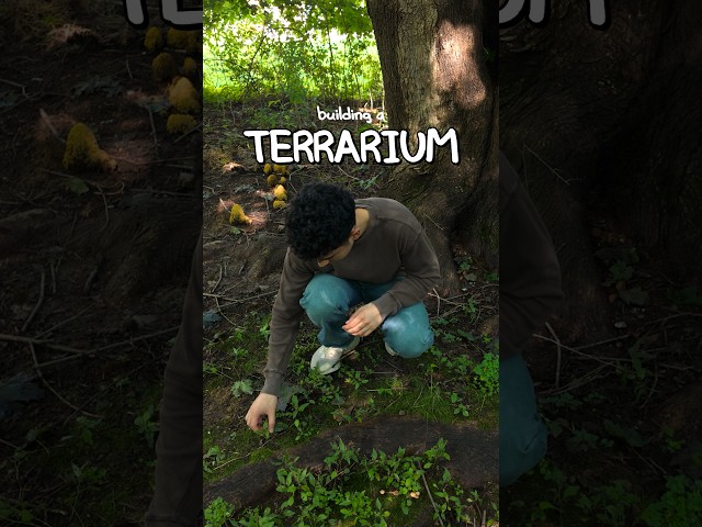 Building a Terrarium @GoogleChrome