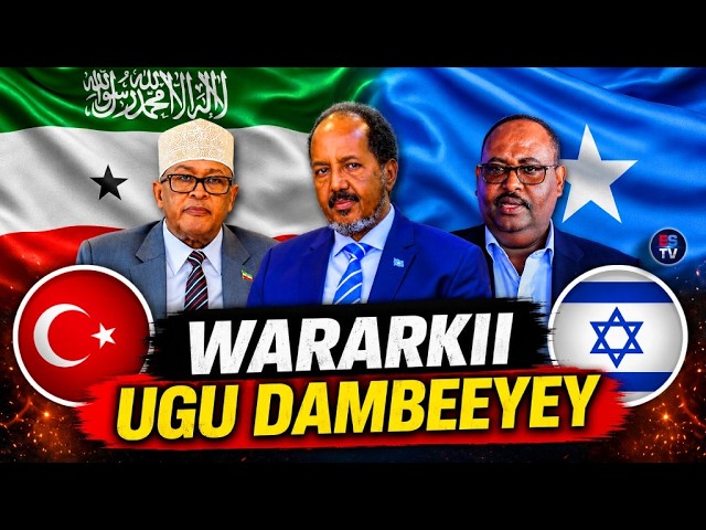 WAREYSI XASAASI AH!