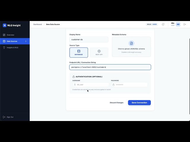NLQ Insights - Customers