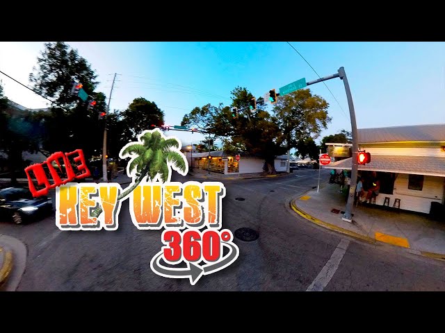 🔴 Key West 360 LIVE - Island Street Corners - The Green Parrot🏝