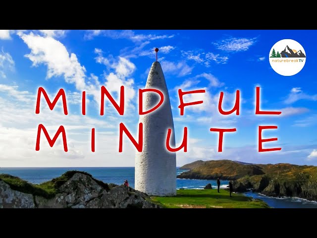 be STILL ✨ AWE-INSPIRING VR180 nature meditation
