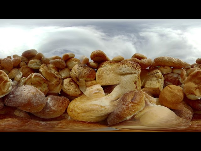 360° BR (Bread Reality)