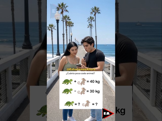 How much do the turtle and mouse weigh in kg? 🧐‼️ #math #mathematics (▶4301)
