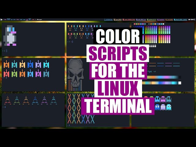 Trick Out Your Terminal With Shell Color Scripts