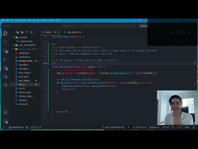 Coding a Memory Allocator From Scratch | Writing Realloc | No AI