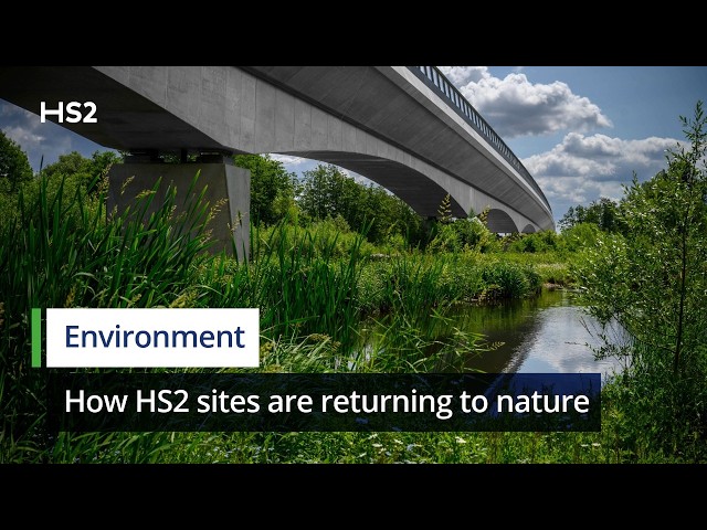 After construction: How HS2 sites are returning to nature