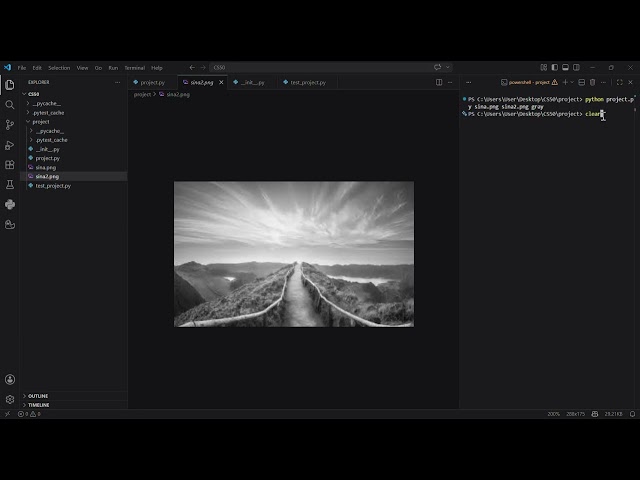 CS50x Python Final Project