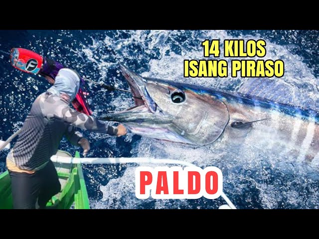INABOT NG SWERTE PALDO | 14 KILOS ISANG PIRASO LANG | PACIFIC OCEAN 