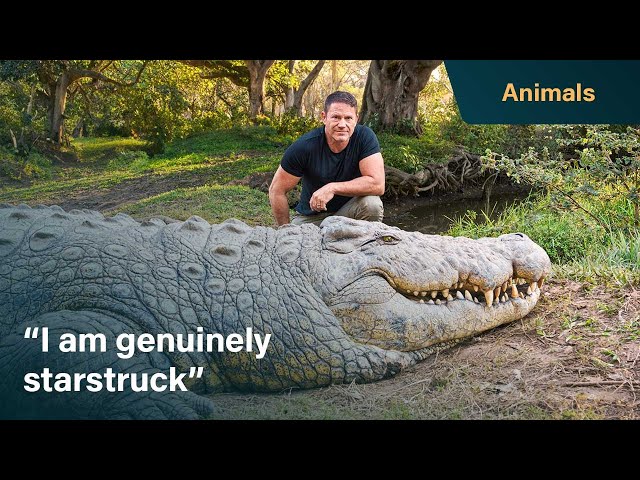 Starstruck by the world's oldest living crocodile | Killer Crocs with Steve Backshall