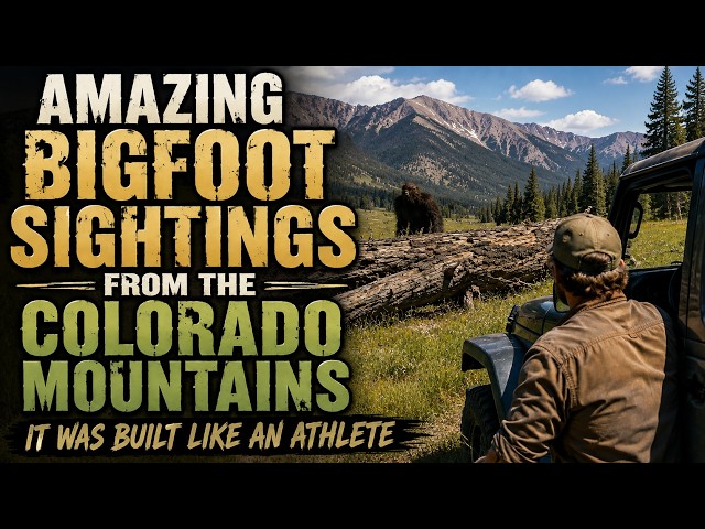 A LIFETIME OF SASQUATCH ENCOUNTERS IN COLORADO | THE SASQUATCH WAS HIDING BEHIND A LOG