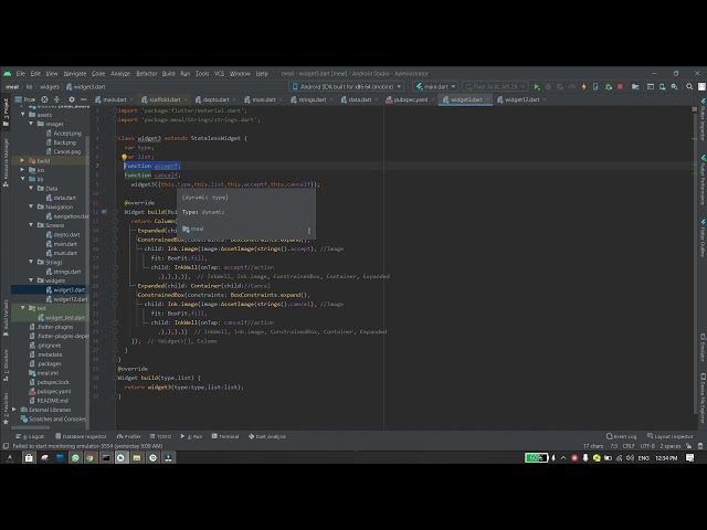 Pass functions to a class as parameters in flutter