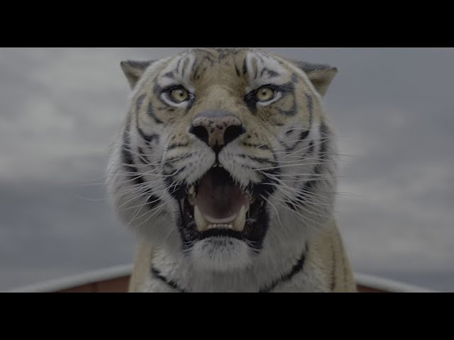 Life of Pi (2012) (4K HDR) - Advanced photorealistic animal CGI